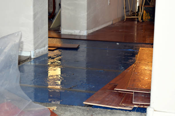 Professional Sewage Cleanup technician working in Page, ND